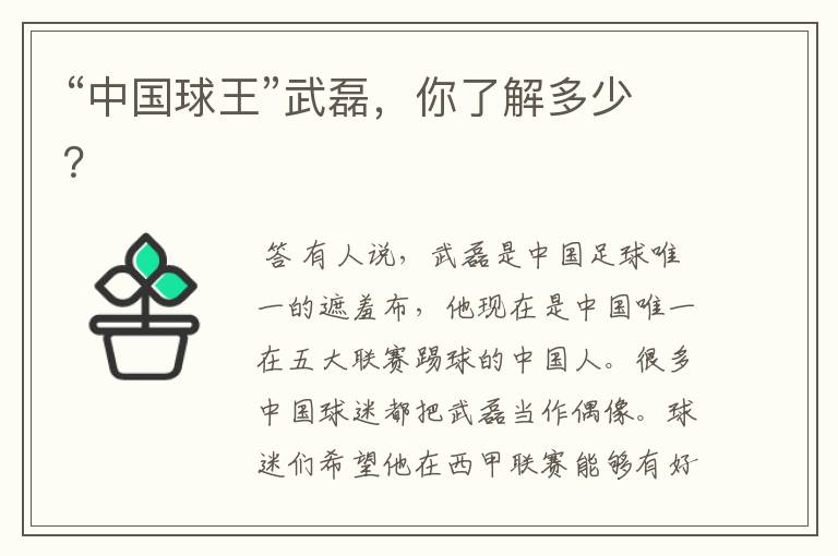 “中国球王”武磊,你了解多少?