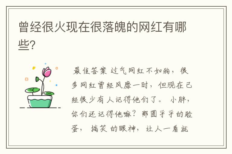 曾经很火现在很落魄的网红有哪些?