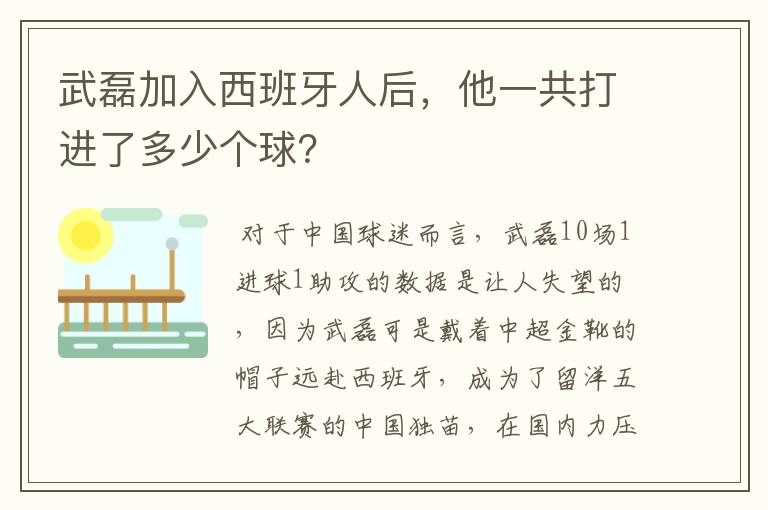 武磊加入西班牙人后,他一共打进了多少个球?