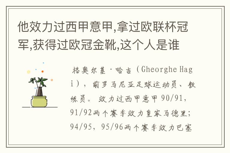 他效力过西甲意甲,拿过欧联杯冠军,获得过欧冠金靴,这个人是谁?