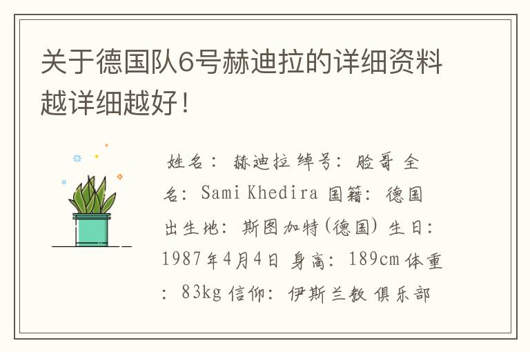 关于德国队6号赫迪拉的详细资料越详细越好!