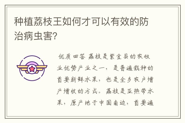 种植荔枝王如何才可以有效的防治病虫害?