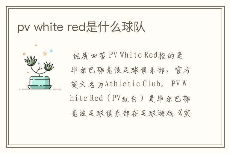 pv white red是什么球队