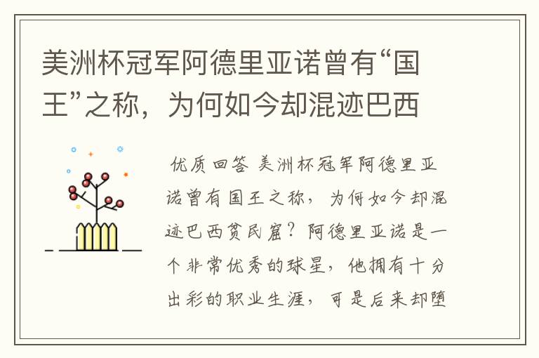 美洲杯冠军阿德里亚诺曾有“国王”之称,为何如今却混迹巴西贫民窟?