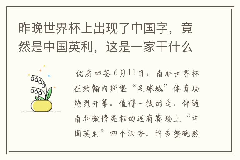 昨晚世界杯上出现了中国字,竟然是中国英利,这是一家干什么的公司啊?