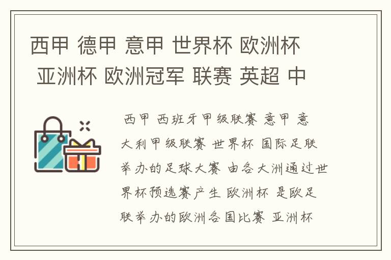 西甲 德甲 意甲 世界杯 欧洲杯 亚洲杯 欧洲冠军 联赛 英超 中超 分别是什么意思啊?