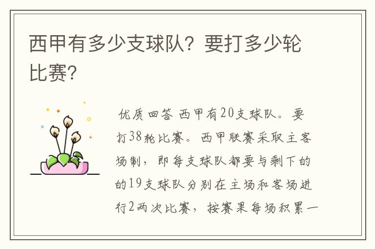 西甲有多少支球队?要打多少轮比赛?