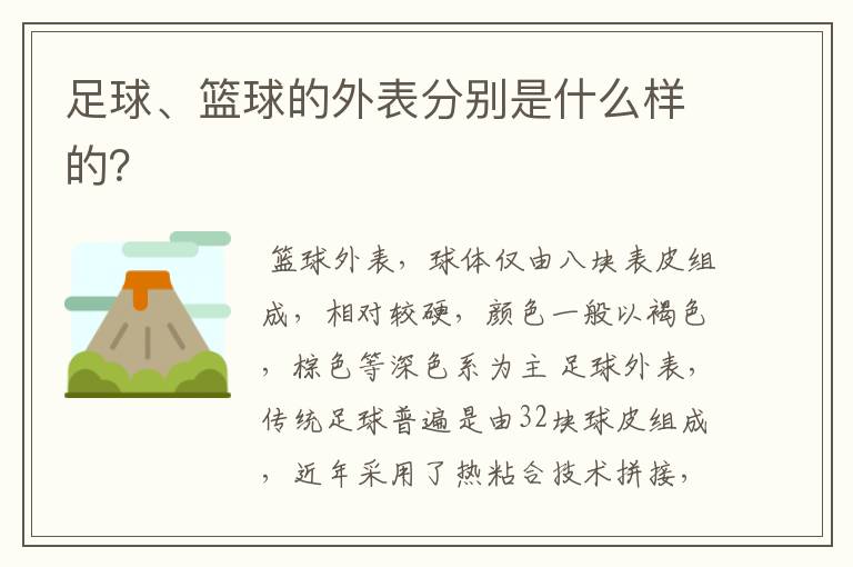 足球、篮球的外表分别是什么样的？