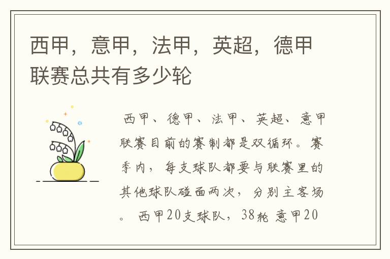 西甲,意甲,法甲,英超,德甲联赛总共有多少轮