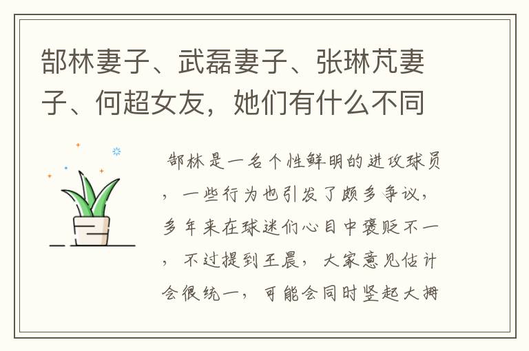 郜林妻子、武磊妻子、张琳芃妻子、何超女友,她们有什么不同?