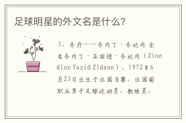 足球明星的外文名是什么?