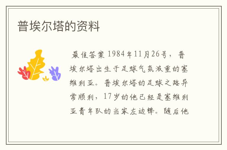 普埃尔塔的资料