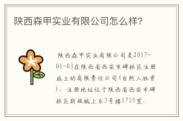 陕西森甲实业有限公司怎么样?