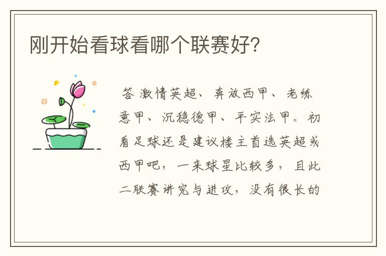 刚开始看球看哪个联赛好?