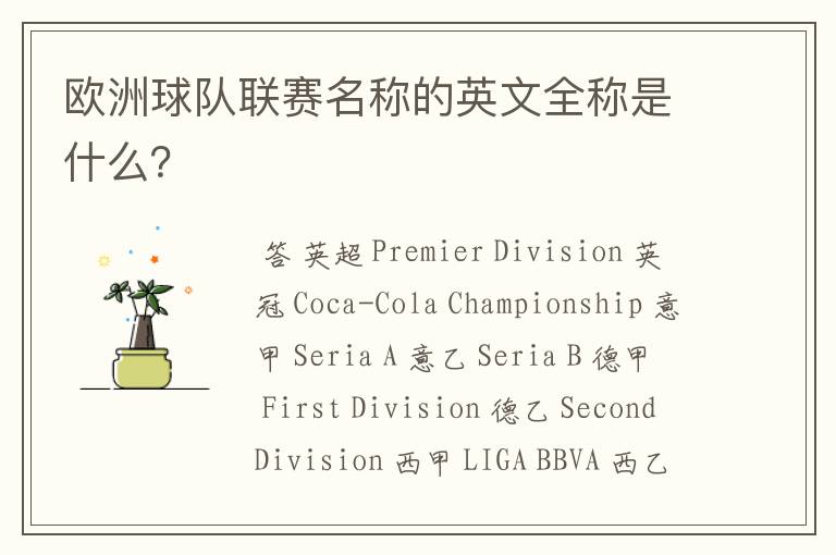 欧洲球队联赛名称的英文全称是什么?