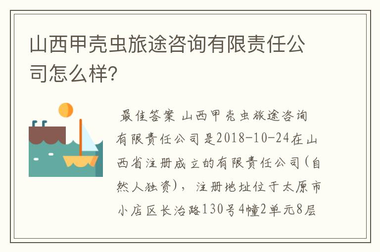 山西甲壳虫旅途咨询有限责任公司怎么样?
