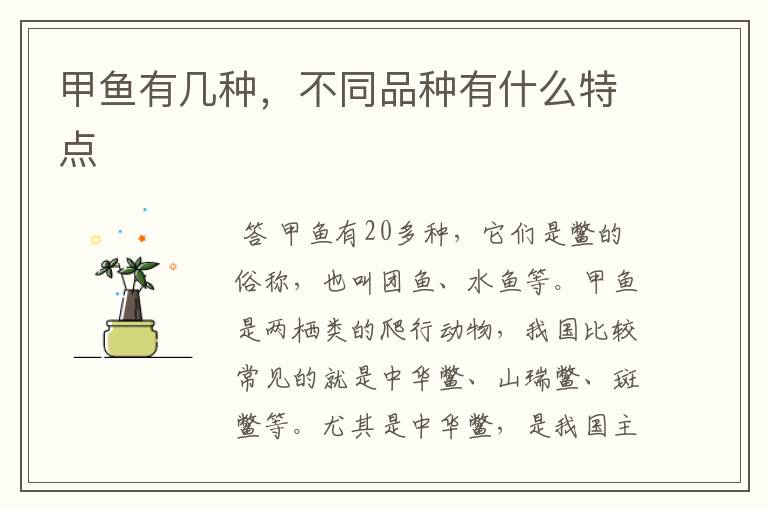 甲鱼有几种,不同品种有什么特点
