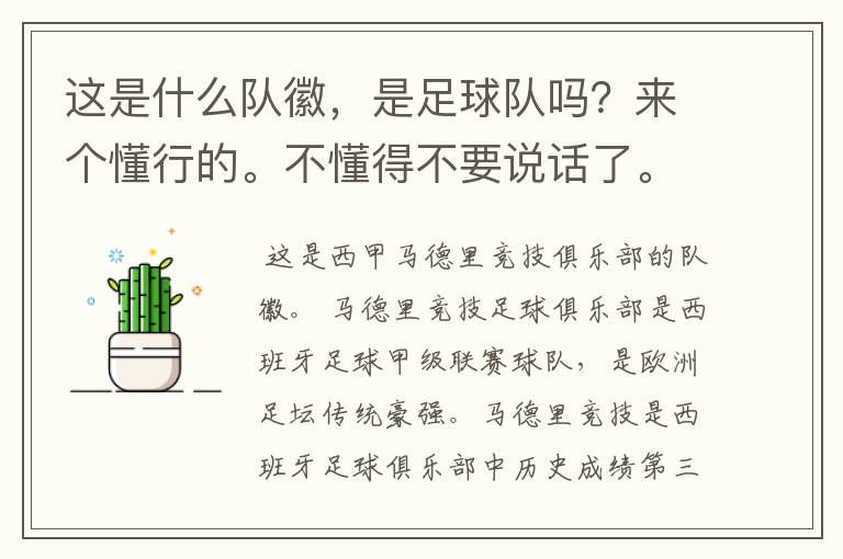 这是什么队徽,是足球队吗?来个懂行的。不懂得不要说话了。