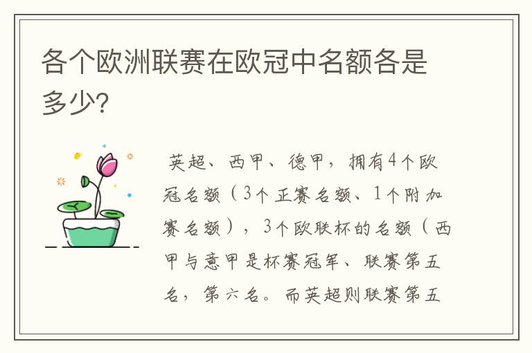 各个欧洲联赛在欧冠中名额各是多少?