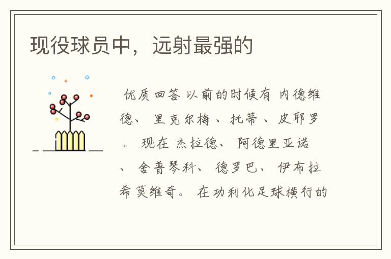 现役球员中,远射最强的