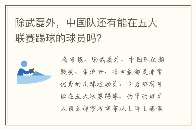 除武磊外,中国队还有能在五大联赛踢球的球员吗?