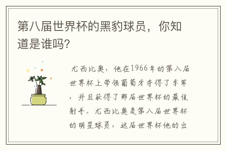 第八届世界杯的黑豹球员,你知道是谁吗?