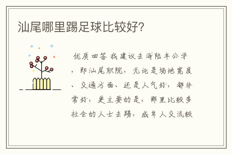 汕尾哪里踢足球比较好?