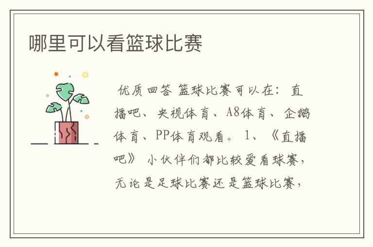 哪里可以看篮球比赛