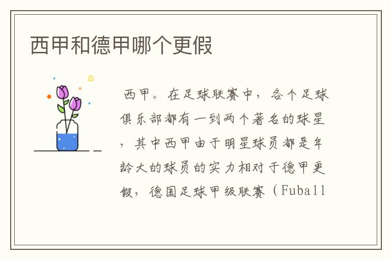西甲和德甲哪个更假