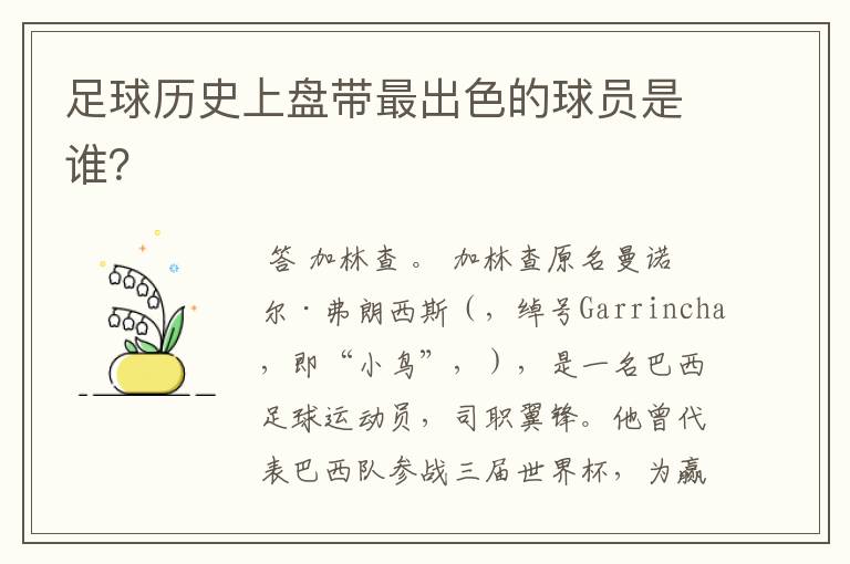 足球历史上盘带最出色的球员是谁?