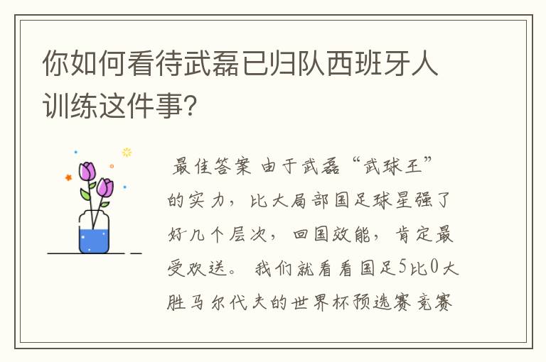 你如何看待武磊已归队西班牙人训练这件事?