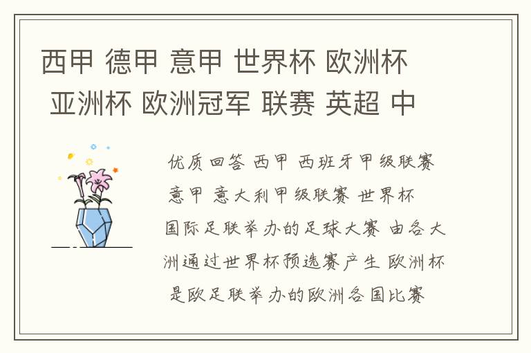 西甲 德甲 意甲 世界杯 欧洲杯 亚洲杯 欧洲冠军 联赛 英超 中超 分别是什么意思啊?