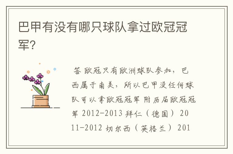 巴甲有没有哪只球队拿过欧冠冠军?