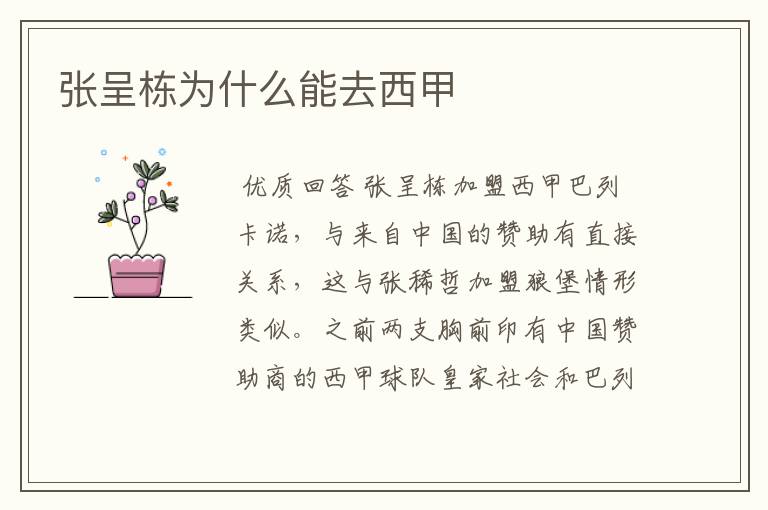张呈栋为什么能去西甲