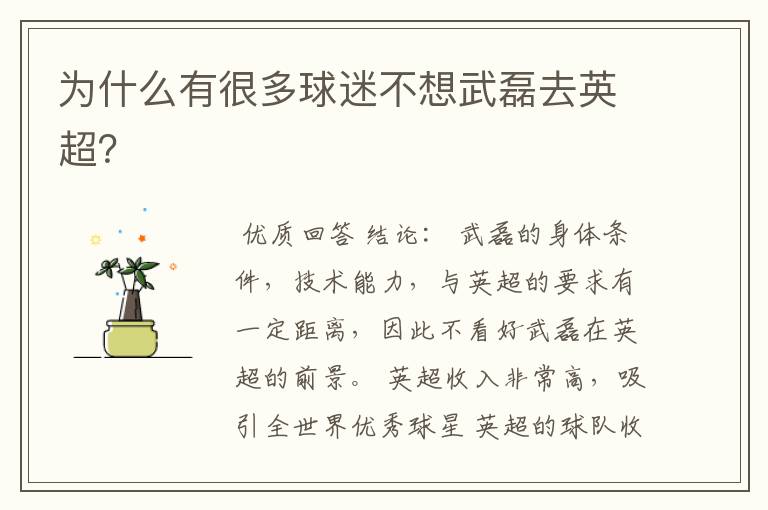 为什么有很多球迷不想武磊去英超?