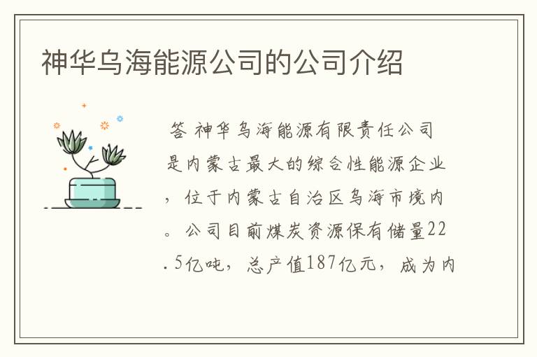 神华乌海能源公司的公司介绍