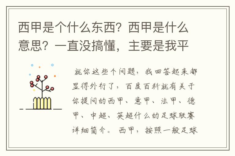 西甲是个什么东西?西甲是什么意思?一直没搞懂,主要是我平时基本不看西甲呀,足球什么的。ASD