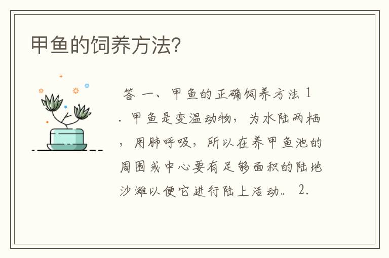甲鱼的饲养方法?