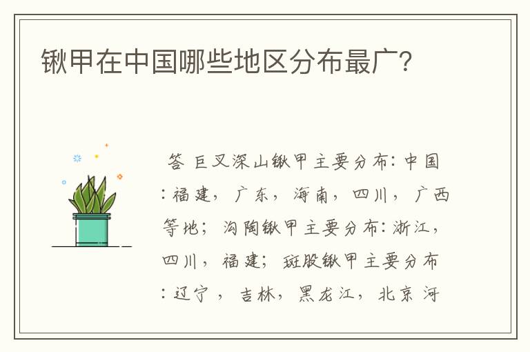 锹甲在中国哪些地区分布最广?
