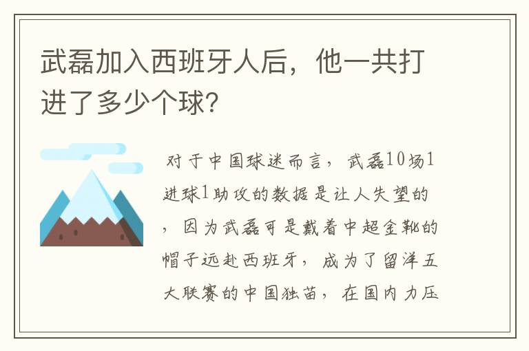 武磊加入西班牙人后,他一共打进了多少个球?