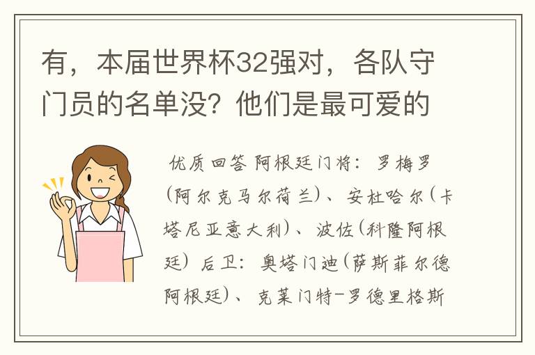 有,本届世界杯32强对,各队守门员的名单没?他们是最可爱的人