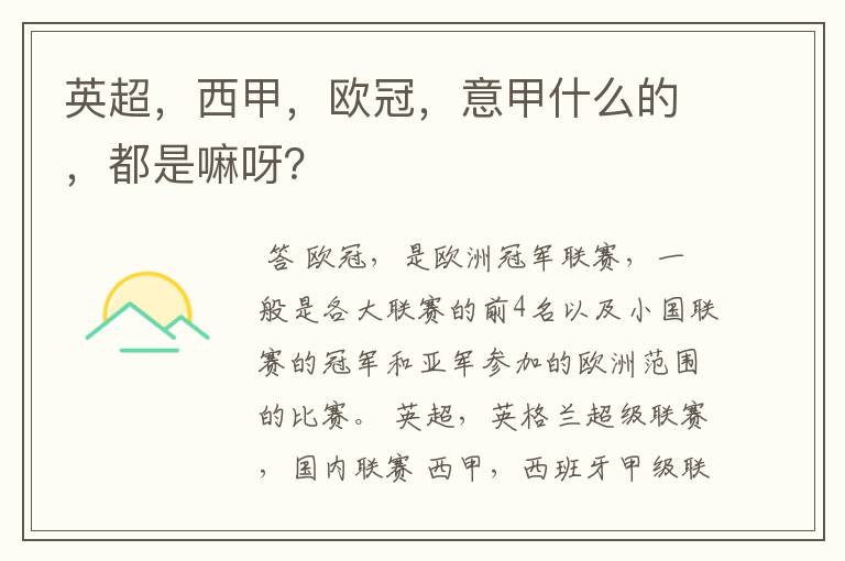 英超,西甲,欧冠,意甲什么的,都是嘛呀?