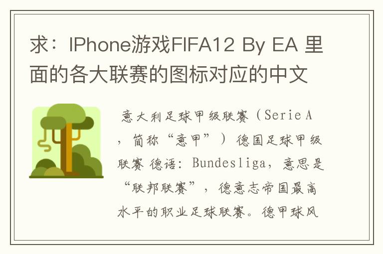求:IPhone游戏FIFA12 By EA 里面的各大联赛的图标对应的中文名称 例如:Liga BBVA 西甲