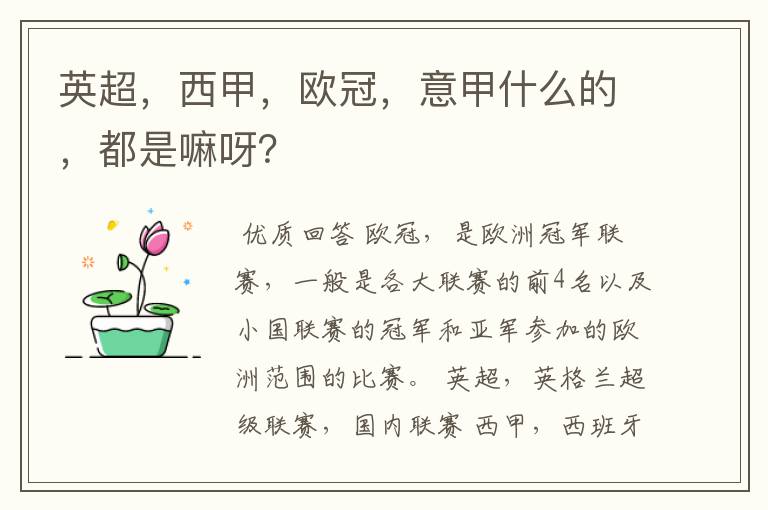 英超,西甲,欧冠,意甲什么的,都是嘛呀?