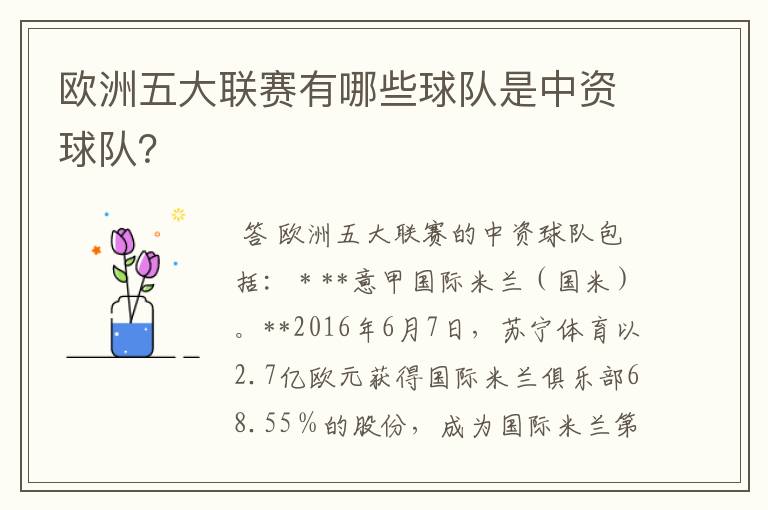 欧洲五大联赛有哪些球队是中资球队?
