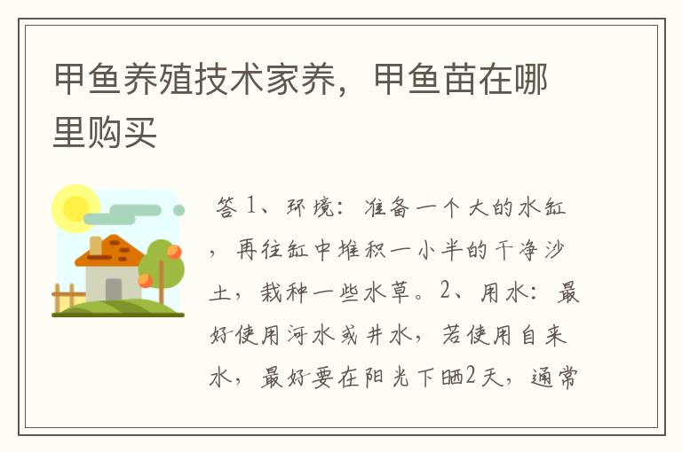甲鱼养殖技术家养,甲鱼苗在哪里购买