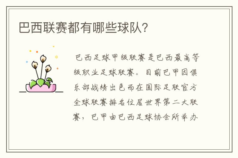 巴西联赛都有哪些球队?