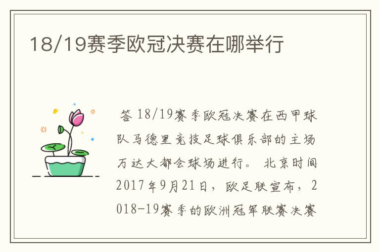 18/19赛季欧冠决赛在哪举行