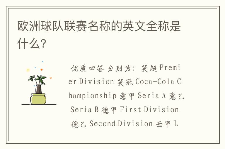 欧洲球队联赛名称的英文全称是什么?