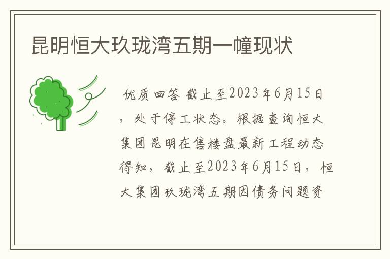 昆明恒大玖珑湾五期一幢现状